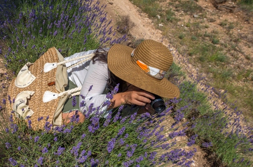 Immagine con cappello, lavanda, fiori, borsa, donna, fotografo, fotografa