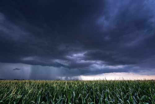 Immagine con nuvole, temporale, campo, mais, maltempo, verde, pioggia, cielo, grigio, campagna, grano