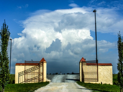 Immagine con cancello, nuvole, strada, cielo, lampione, lampioni, alberi