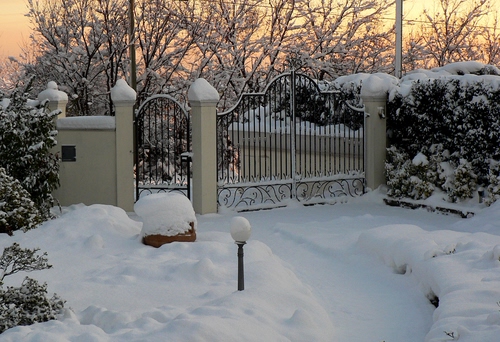 Immagine con neve, alberi, inverno, cancello, lampione, bianco, cancelli, freddo, colonne, siepe, tramonto