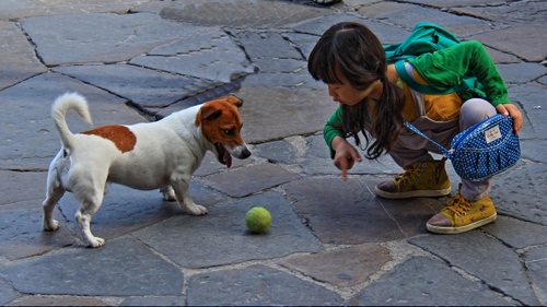 Immagine con cane, bambina, pallina, verde, palla, strada, borsa, gioco, borsetta