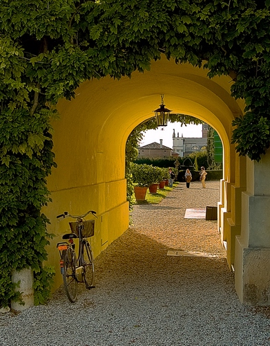 Immagine con bicicletta, arco, vasi, lampione, giallo, portico, passaggio, edera, rampicanti, cestino