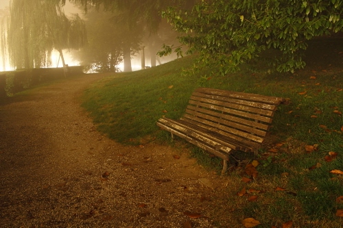 Immagine con panchina, alberi, nebbia, viale, parco, foglie, verde, sentiero, strada, erba