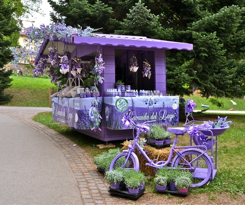 Immagine con viola, lavanda, bicicletta, chiosco, piante, banchetto, bici, vasi, alberi