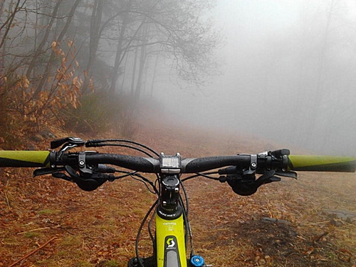 Immagine con nebbia, manubrio, bicicletta, alberi, bosco, foglie, sentiero, verde, giallo, freni, autunno