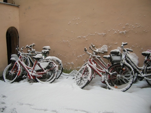 Immagine con biciclette, neve, muro, bianco, porta, inverno, ruote, appoggiate