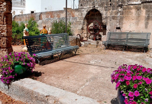 Immagine con panchine, fiori, vasi, verde, due, panchina, viola, pozzo