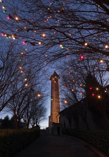 Immagine con luci, campanile, rami, natale, alberi, strada, sera, torre, albero