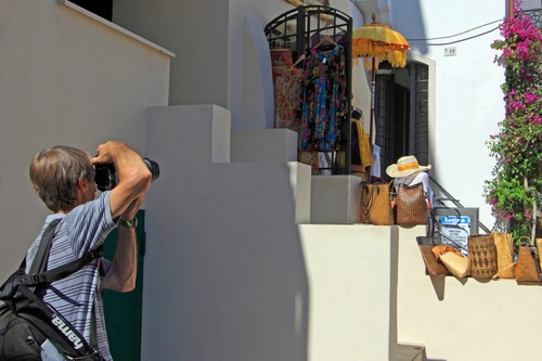 Immagine con fotografo, fiori, borse, cappello, zaino, bianco, scala, vestiti, pianta, esposizione, verde, abiti, cappelli