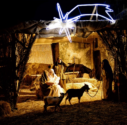 Immagine con presepe, stella, cometa, capre, madonna, asino, paglia, giallo, natale, capanna, animali
