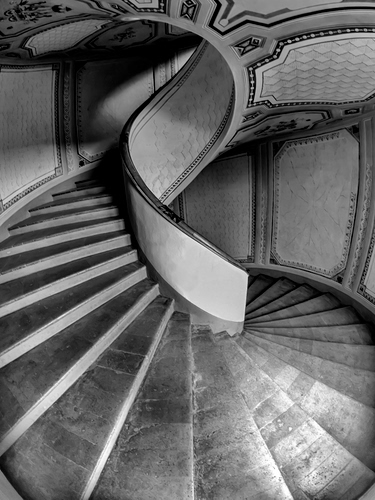 Immagine con scala, bianconero, chiocciola, gradini, scalini, spirale, scale, scalinata, curve, decorazioni, ringhiera, corrimano