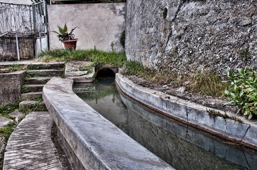 Immagine con acqua, lavatoio, vaso, canale, scalini, scale, gradini, muro, piante, riflesso, pietra, pianta