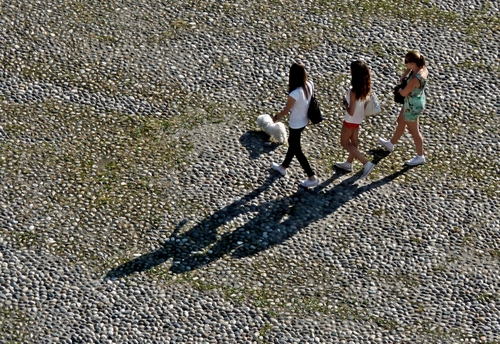 Immagine con tre, cane, ombre, ragazze, donne, strada, camminare, borse, selciato