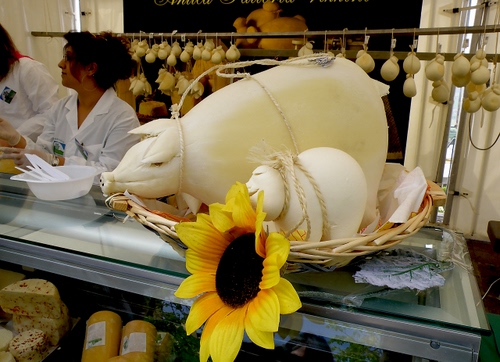 Immagine con girasole, formaggi, formaggio, fiore, giallo, bianco, negozio, caciocavallo, piatto, spago, donne, cibo, scamorze, maiali, banco, cestino, maiale, cesto, bancone, appesi, forme, maialini, maialino, salumeria
