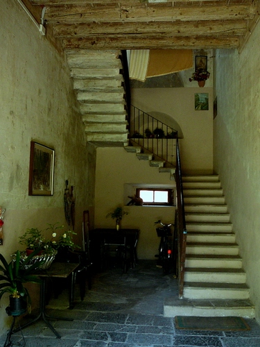 Immagine con scala, gradini, bicicletta, interno, scale, finestra, casa, ringhiera, fiori, piante