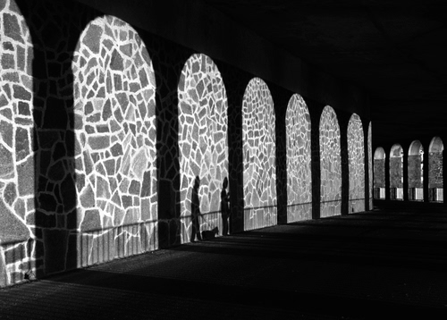 Immagine con archi, cane, ombre, portico, ombra, nero, persone, passeggio