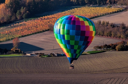 Immagine con mongolfiera, colori, alberi, campi, campo, volare, vigneto, multicolore, terreno