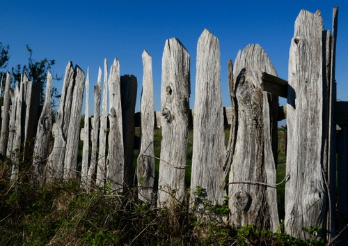 Immagine con cielo, legno, azzurro, erba, verde, staccionata, grigio, pali, foglie, palizzata, tronchi, steccato, recinzione