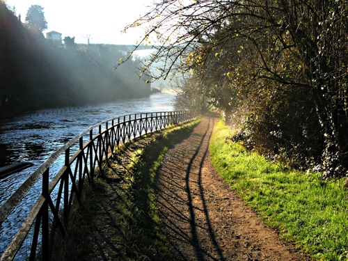 Immagine con fiume, verde, alberi, acqua, ombra, staccionata, ponte, ringhiera, sentiero, erba, parapetto, foschia, piante, strada, nebbia