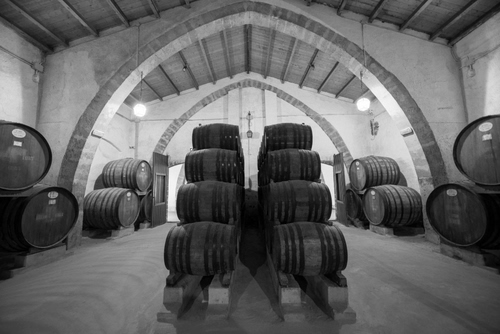 Immagine con cantina, archi, botti, legno, vino, soffitto, bianconero, luci, travi, pile, tetto, cerchi, botte, lampioni, arco, volta, volte