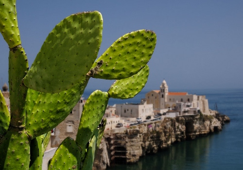 Immagine con mare, pianta, chiesa, cactus, borgo, verde, panorama, grassa, fico, campanile