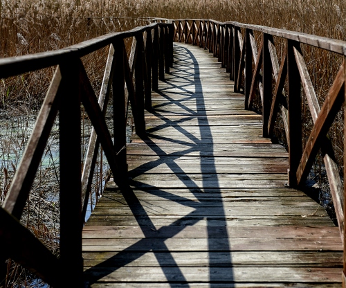 Immagine con legno, ponte, ombre, ombra, fiume, passerella, acqua, ringhiere, geometrie, assi, piante