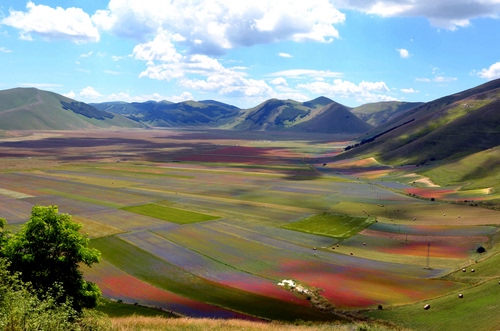 Immagine con nuvole, cielo, panorama, campi, montagne, colori, colline, alberi, verde, fiori, albero, fioritura, pianura, piana, natura, coltivazione, monti, coltivazioni, montagna