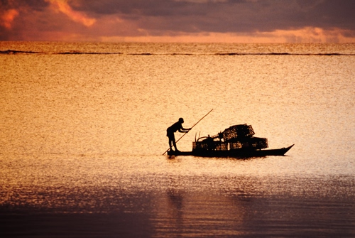 Immagine con mare, barca, tramonto, pescatore, acqua, pescare, controluce