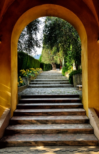 Immagine con arco, fiori, gradini, giardino, alberi, scale, scalinata, tulipani, scala