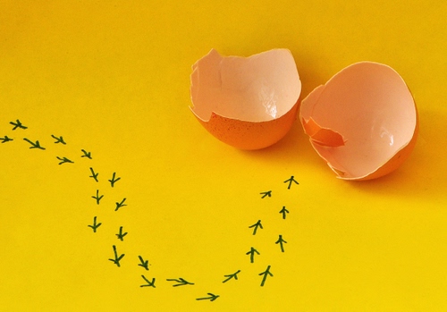 Immagine con giallo, guscio, uovo, rotto, impronte, orme, frecce, gusci, due, tracce