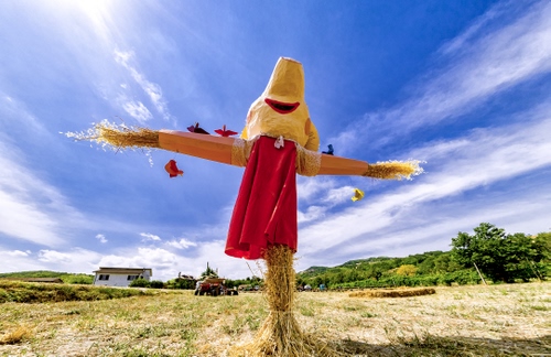 Immagine con spaventapasseri, paglia, cielo, casa, rosso, nuvole, alberi, verde, campo, pupazzo, azzurro, campagna, trattore, erba, campi, uccelli