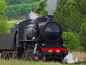 fumo, locomotiva, nero, treno, vapore, numeri, verde, alberi, binari