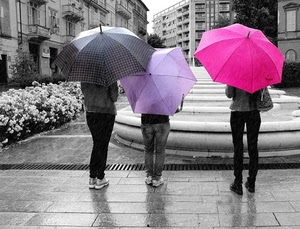 ombrelli, tre, viola, pioggia, rosa, fiori, colori, persone, bianconero