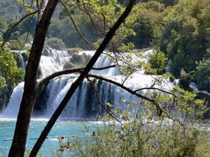 acqua, alberi, cascata, verde, fiume, rami, cascate, albero, bagnanti