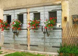 fiori, gerani, finestre, porte, legno, vasi, rosso, portoni