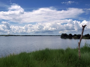acqua, nuvole, erba, lago, verde, ramo, fiume, tronco, cielo