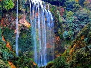 acqua, cascata, alberi, verde, natura, piante, rocce, arbusti, cespugli, foglie, salto, bosco, fogliame