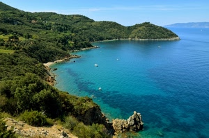 mare, panorama, verde, scogli, acqua, costa, promontorio, alberi