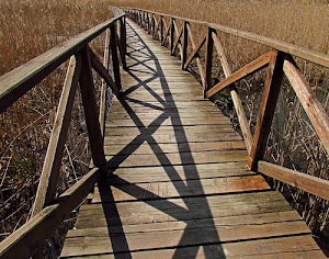 legno, erba, marrone, ponte, assi, passerella, ombre, ombra, staccionata, pontile, ics, paglia, acqua, campo