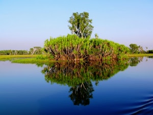 acqua, riflesso, fiume, alberi, verde, blu, albero, lago, riflessi, piante