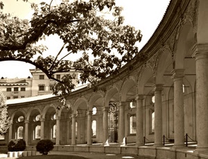 colonne, archi, albero, rami, porticato, foglie, portico, ramo, colonnato