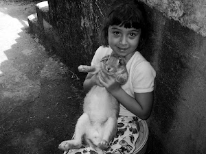 bambina, occhi, coniglio, zampe, sorriso, muro, bianconero, nero, bianco, ombra, gradini, scalini, mani, animale, orecchie, tenerezza, maglietta, ombre, scala, sguardo, capelli, frangia, seduta