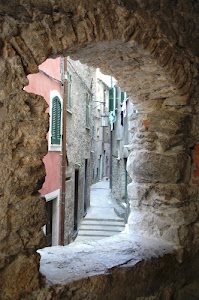 vicolo, finestra, arco, finestre, case, panni, biancheria, porte, scorcio, lampione, persiane, gradini, scalini, mattoni, pietra, scale, verde, pietre, cornice, strada, grondaia, viuzza, tubo, scalinata, rosa