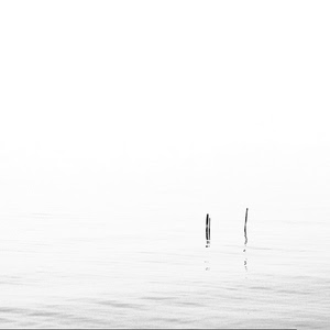 pali, acqua, minimalismo, bianco, riflesso, bianconero, grigio, nero, lago