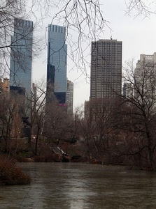 grattacieli, acqua, alberi, fiume, rami, palazzi, lago, grattacielo, piante