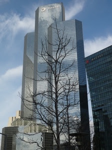 albero, grattacielo, grattacieli, vetri, cielo, vetro, finestre, nuvole, geometrie, vetrate, rami, palazzi, riflesso