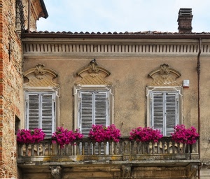 balcone, fiori, finestre, tre, persiane, rosa, vasi
