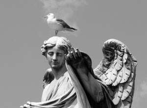 gabbiano, angelo, ali, bianconero, statua