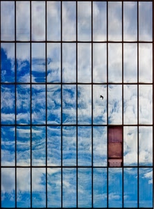 nuvole, finestre, uccello, cielo, azzurro, riflesso, riflessi, rettangoli, palazzo, vetro, vetrata, grattacielo, bianco