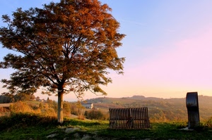 albero, panchina, autunno, panorama, paesaggio, cielo, verde, rami, alberi